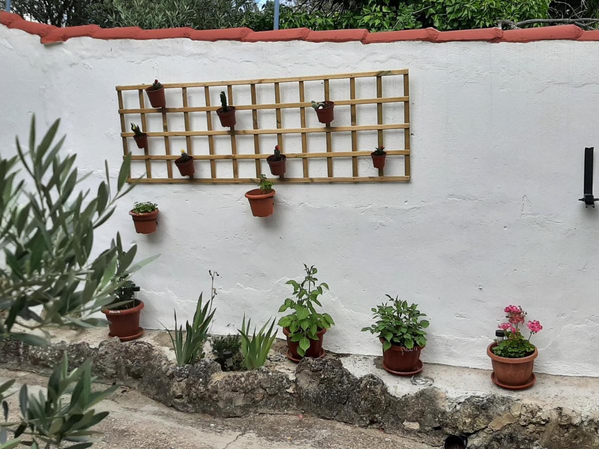 Casa Rural "Eccehomo De Borja" Zewnętrze zdjęcie